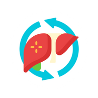 Boosts Energy And Metabolism